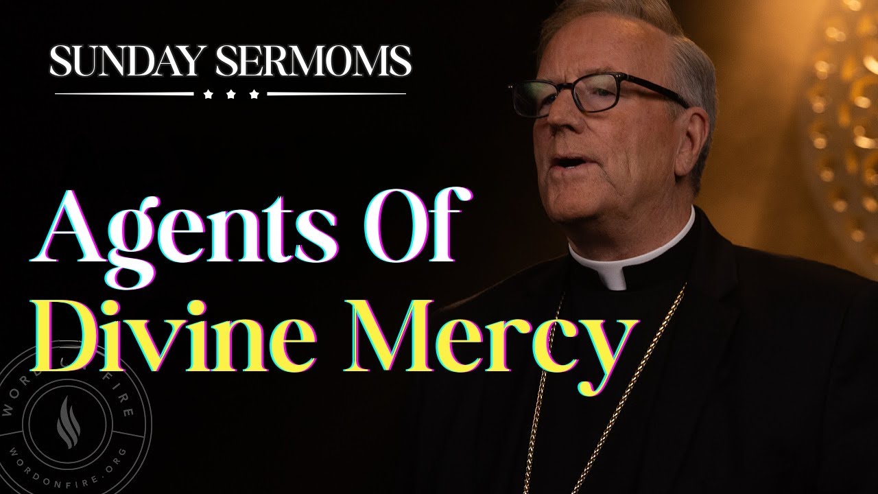 Agents Of Divine Mercy - Bishop Barron’s Sunday Sermon