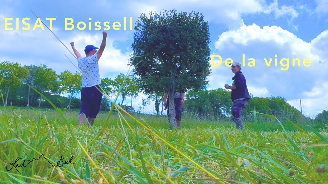 Derrière la Forêt - EISAT Boissell - De la vigne