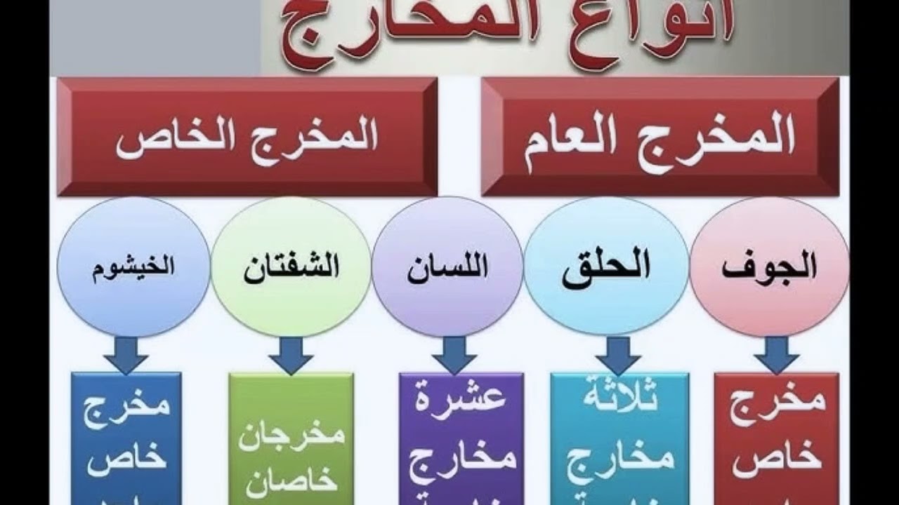 المخرج العام والمخرج الخاص. عدد المخارج .. حروف المخارج الخاص