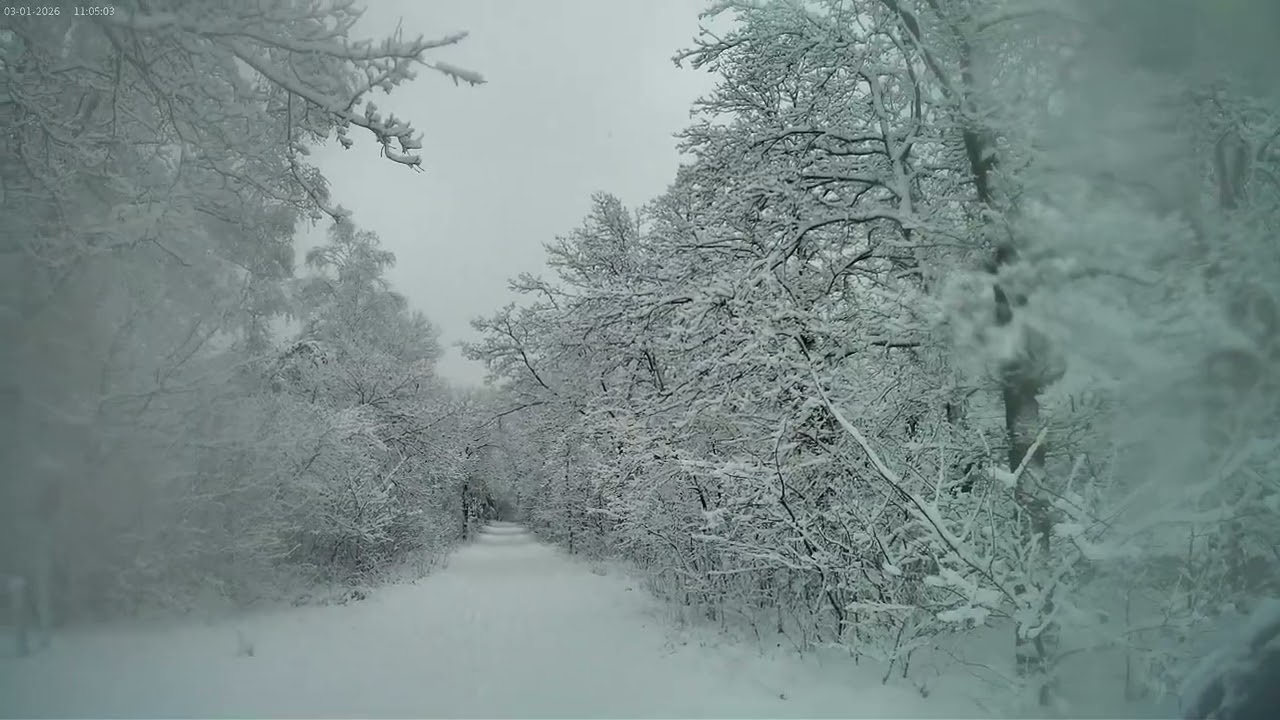 my first time MTBen in the snow #mtb #apeldoorn #mtb4life #enjoy #trails #routeApeldoorn #snow #life