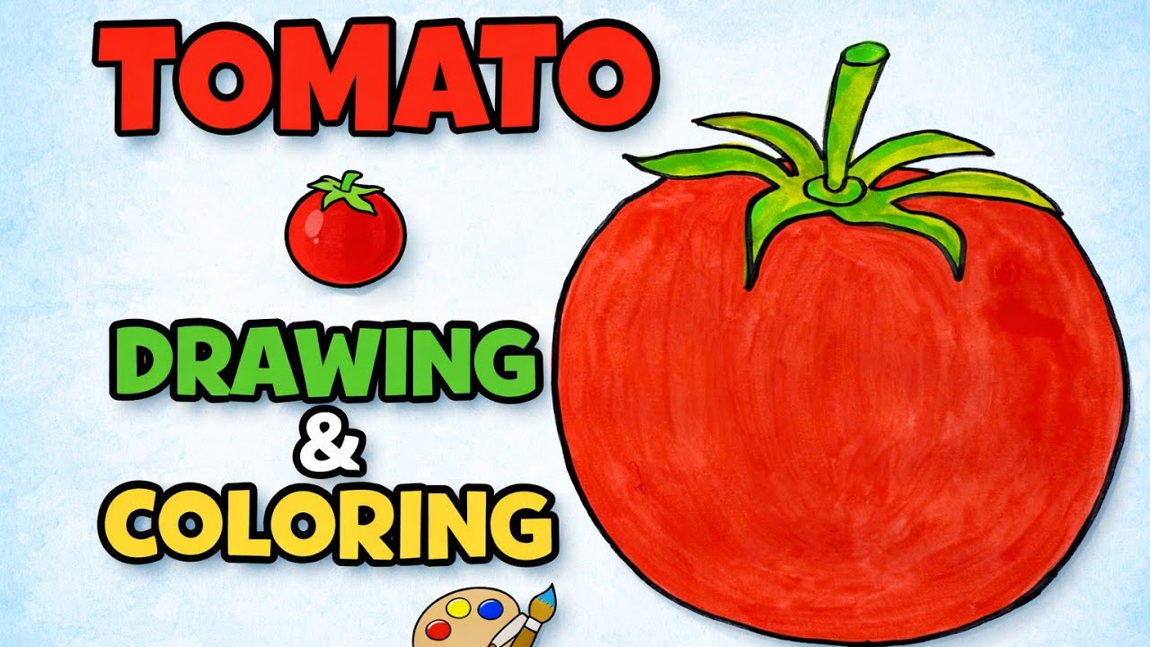Tomato Drawing & Coloring 🍅 | Step by Step Easy