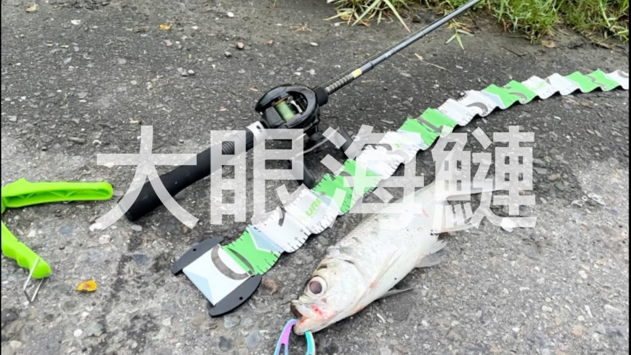 在宜蘭用路亞釣大眼海鰱！