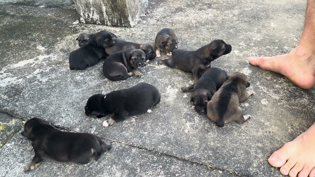 Newly Opened Eyes and Already Exploring the World Together