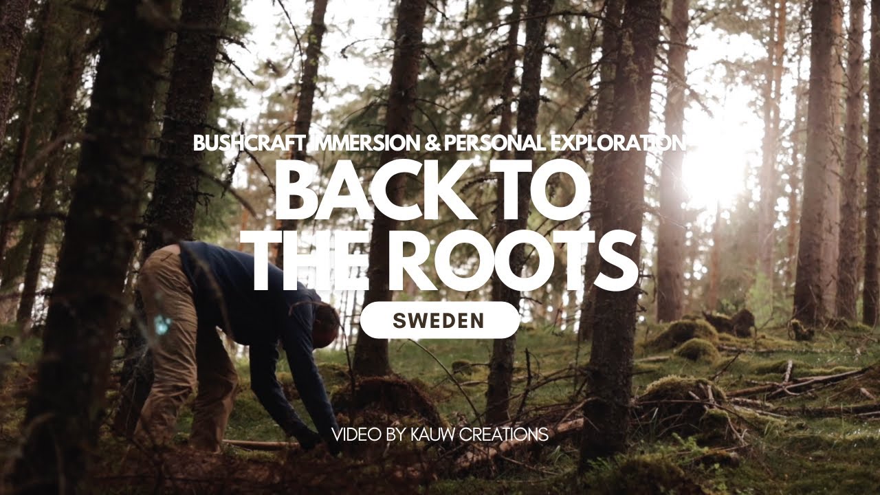 Back to the Roots