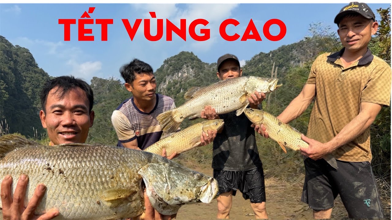 K&Eacute;O C&Aacute; ĂN TẾT SỚM-TỰ THỢ RỪNG