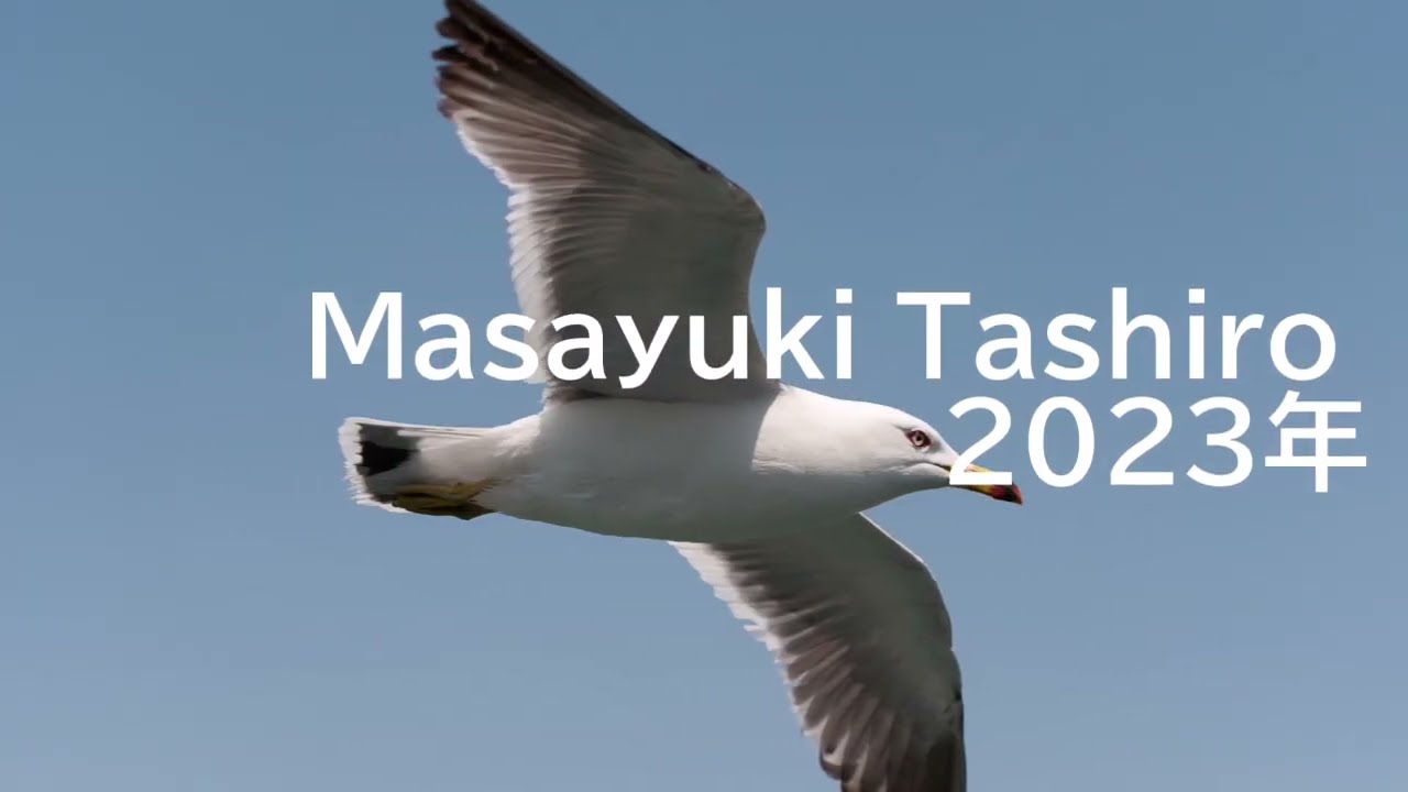 飛べ!   Masayuki Tashiro 2023年