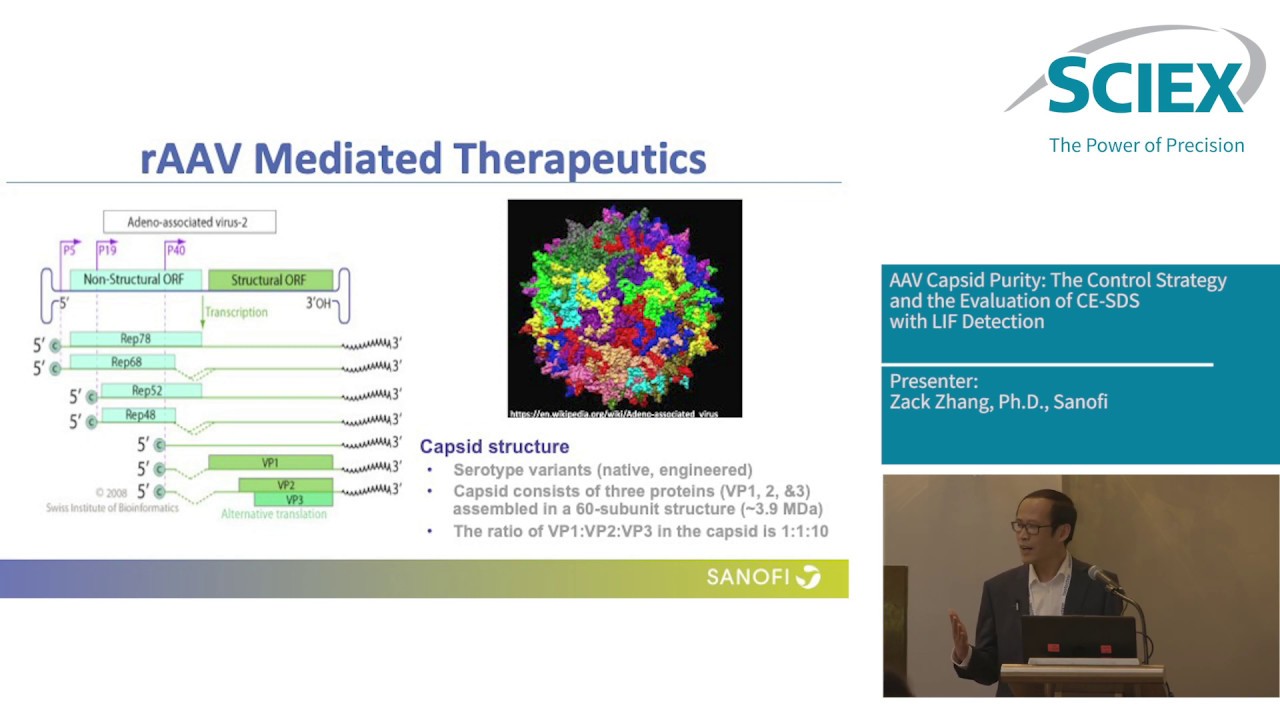 AAV Capsid Purity: CE-SDS with LIF Detection - Presentation by Zack Zhang Sanofi