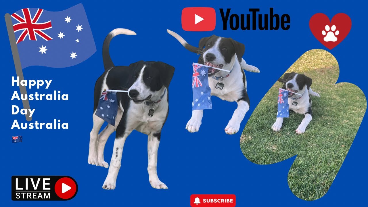 I’m happy Jasper  is live celebrating Aussie Day 🇦🇺 