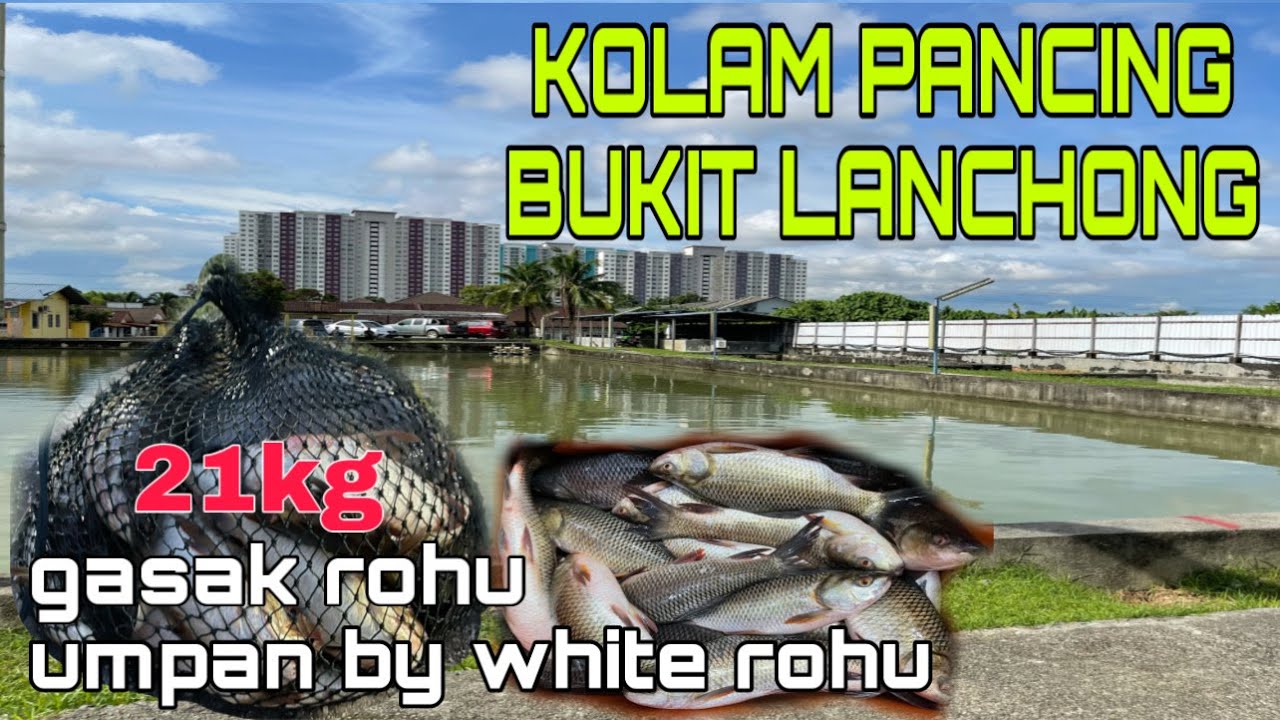 KOLAM PANCING BUKIT LANCHONG // misi seguni rohu!!