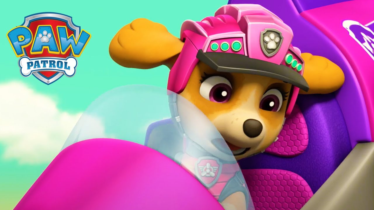Skye rettet einen Flugsaurier! 🦖 - PAW Patrol Germany - Cartoons für Kinder