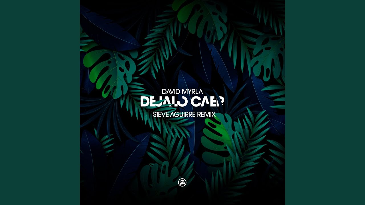 Dejalo Caer (Steve Aguirre Remix)