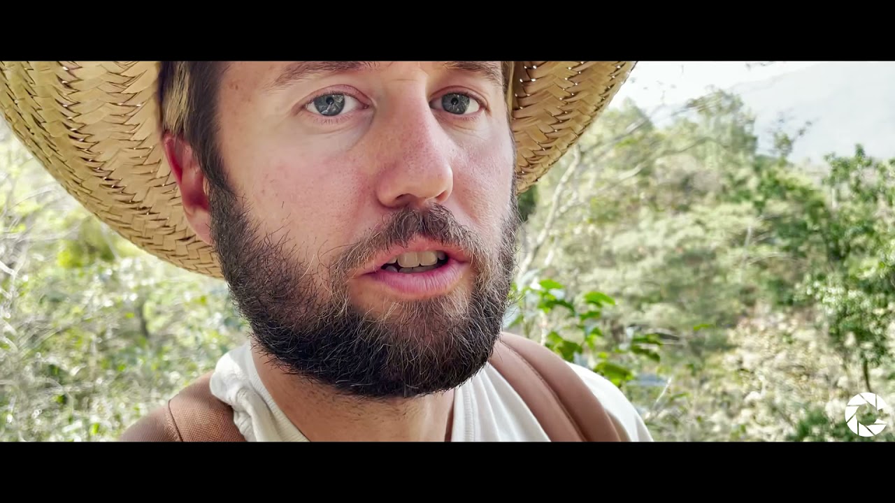 Coffee Sourcing in Mexico