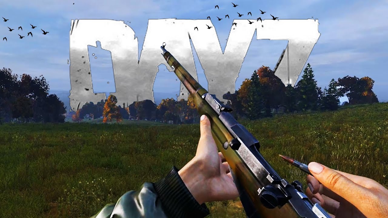 DayZ got a DLC