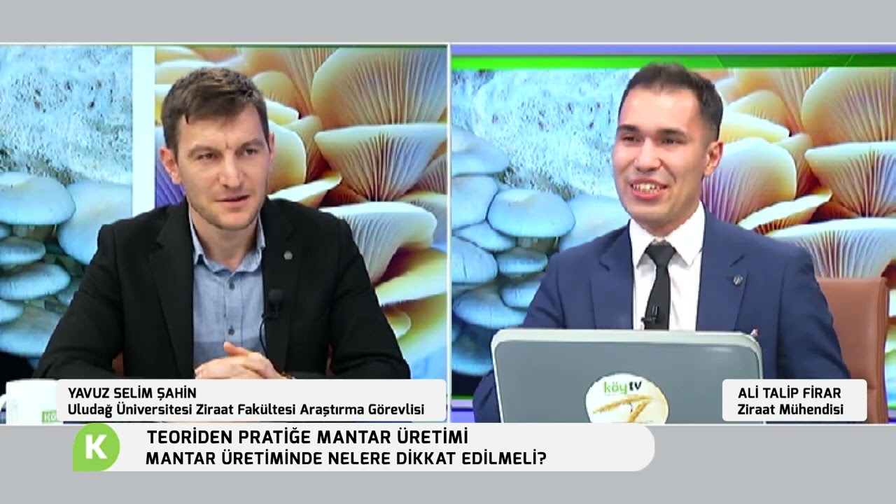 MANTAR ÜRETİMİNDE NELERE DİKKAT EDİLMELİ