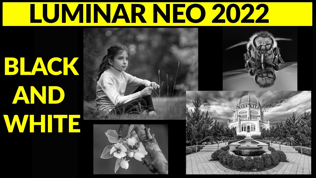 Making stunning black and white images with Luminar Neo