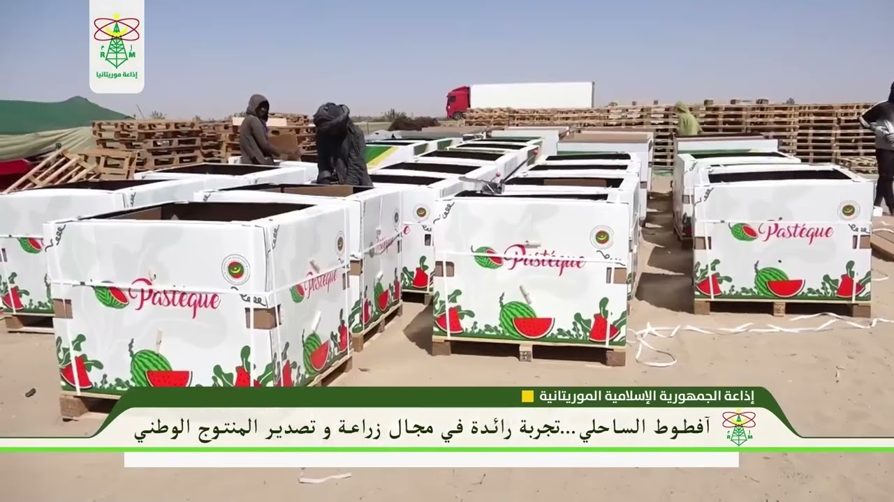 كرمسين من أبرز المناطق الزراعية في موريتانيا - إذاعة موريتانيا