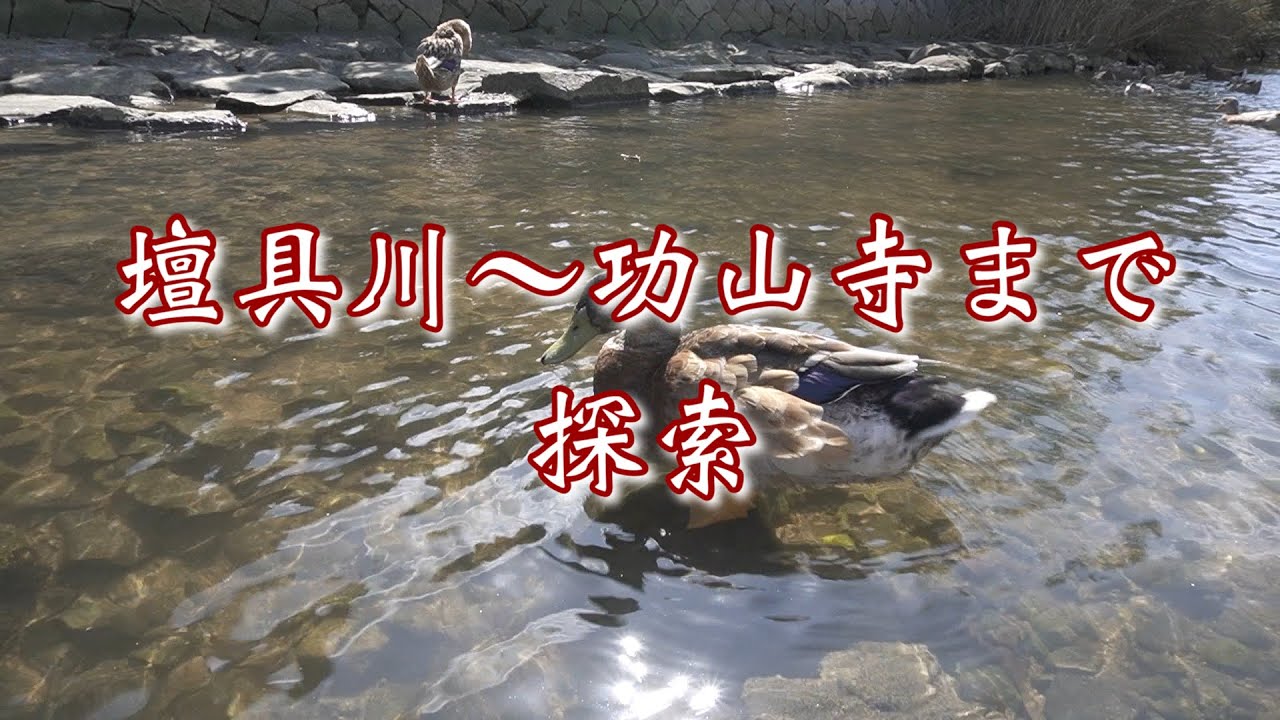 【下関】壇具川〜功山寺まで探索【長府】