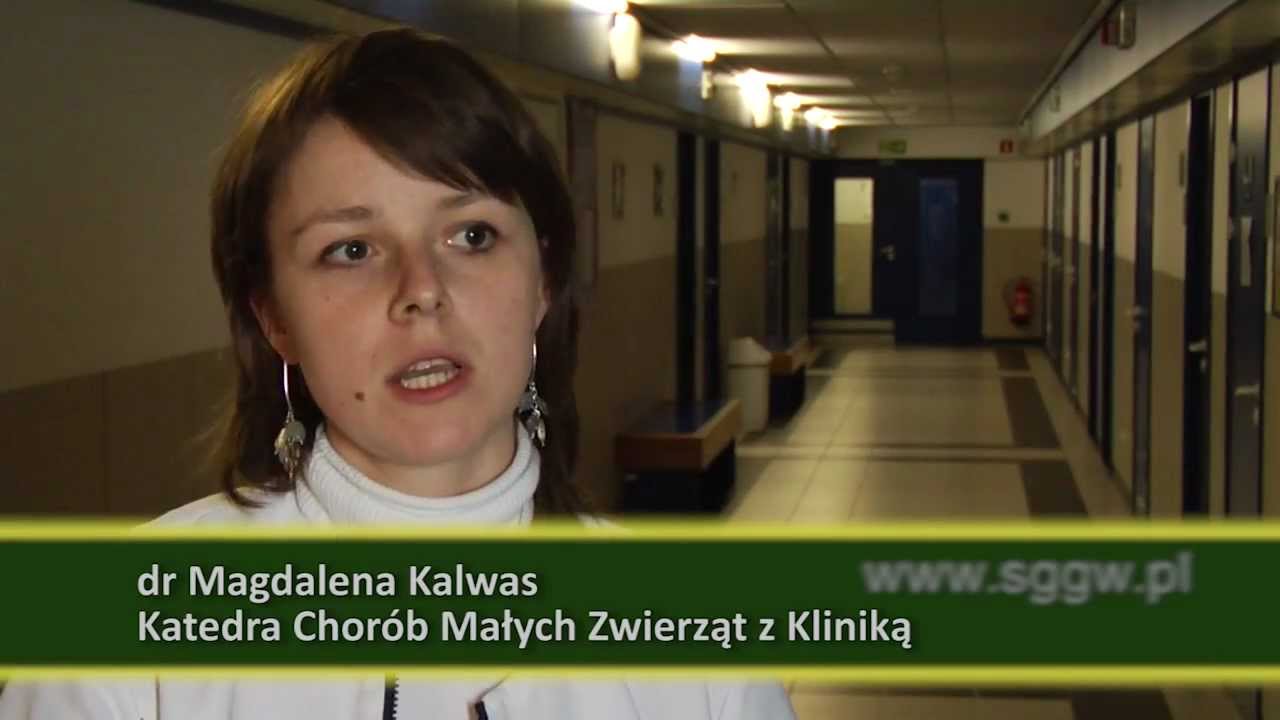Wydział Medycyny Weterynaryjnej SGGW