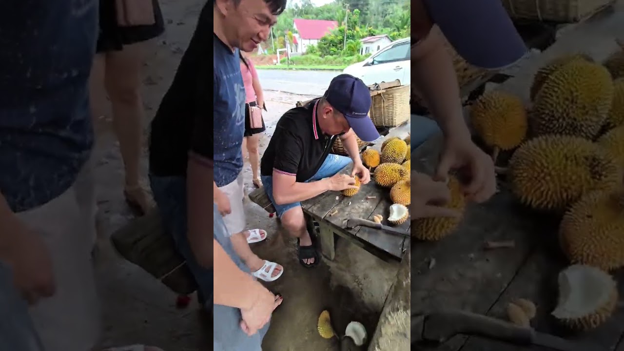 Petualangan Bersama BESTie Serbu Duren di Aruk Perbatasan Indonesia Malaysia Propinsi KALBAR 