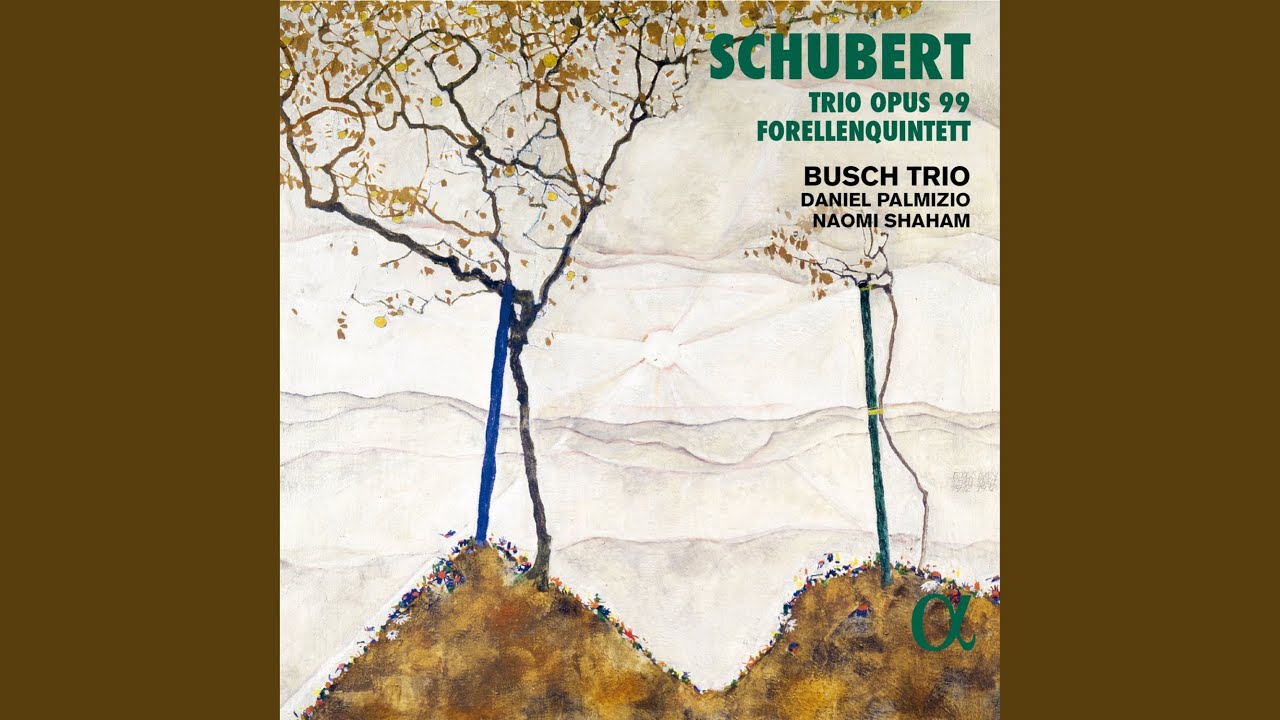 Piano Trio in B-Flat Major, Op. 99, D. 898: II. Andante un poco mosso