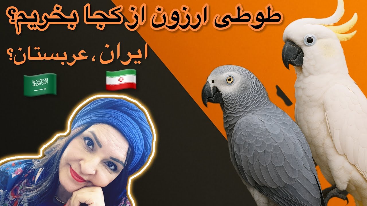 قیمت طوطی ها در عربستان و مقایسه با ایران ll کاسکو 150 میلیون