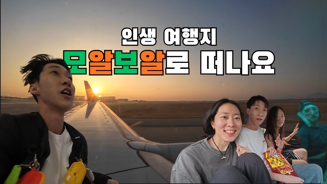 인생 여행지 모알보알로 떠나요🐢