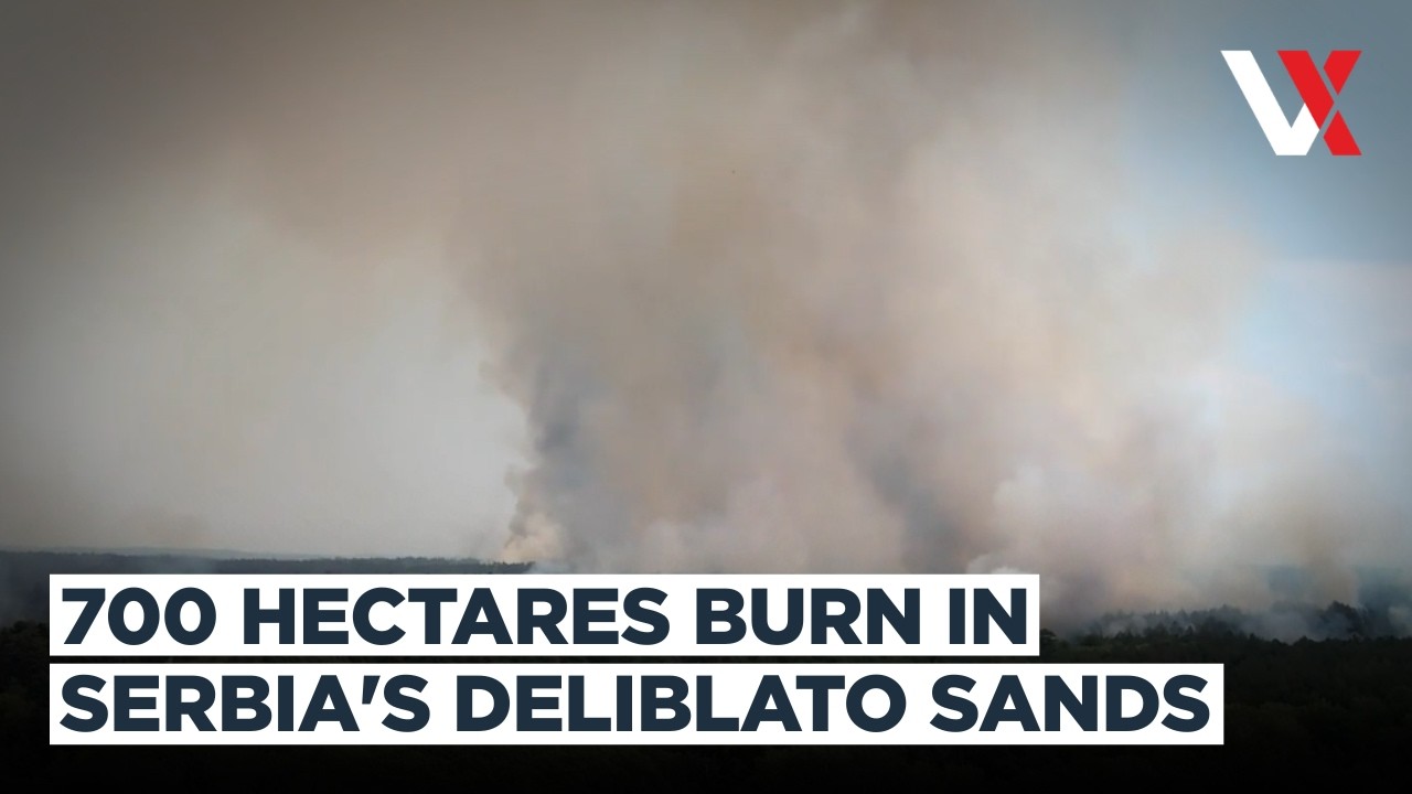 Massive Wildfire Threatens Northern Serbia | 700 Hectares Burn As Residents Evacuate | VERTEX