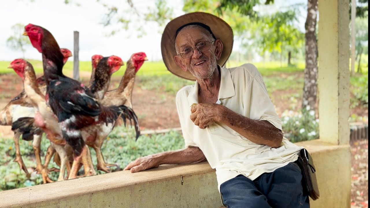 ZÉ PEDRO CONTA COMO TUDO COMEÇOU COM A RAÇA INDIO GIGANTE / 35 99705 2033