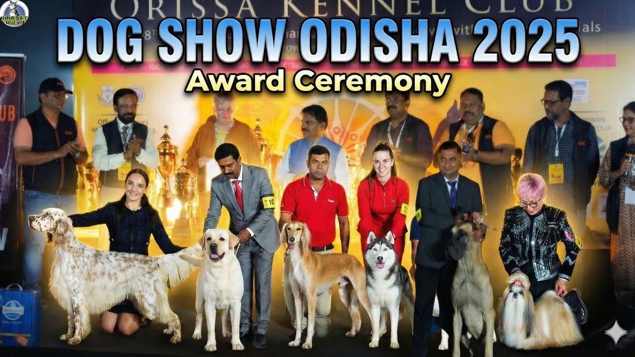 Biggest Dog Show in Odisha 2025 300 breeds Full Award Ceremony Video all breed dog in full 4k 