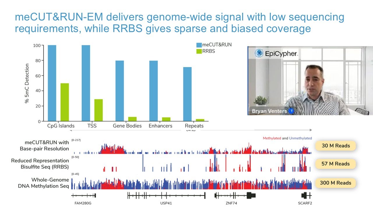 Solving the Challenge of Genome-Wide DNA Methylation Sequencing: Cost vs. Coverage