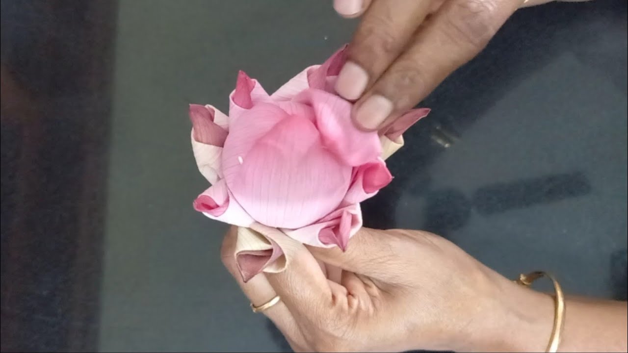 How to fold Lotus petals/3 ways to fold a Lotus Flower/