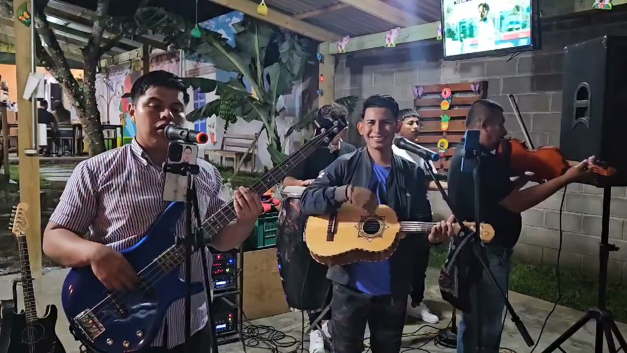 Juveniles de texiguat- Traicionera