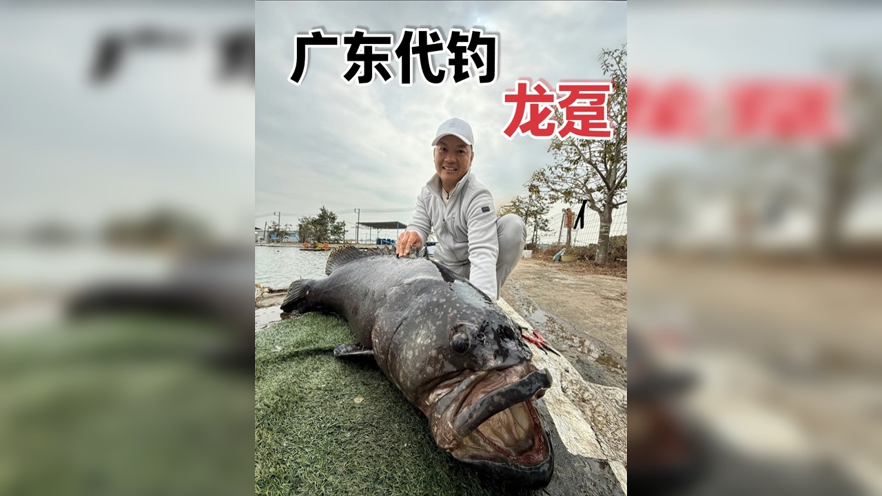 什么情况海水里面有青鱼