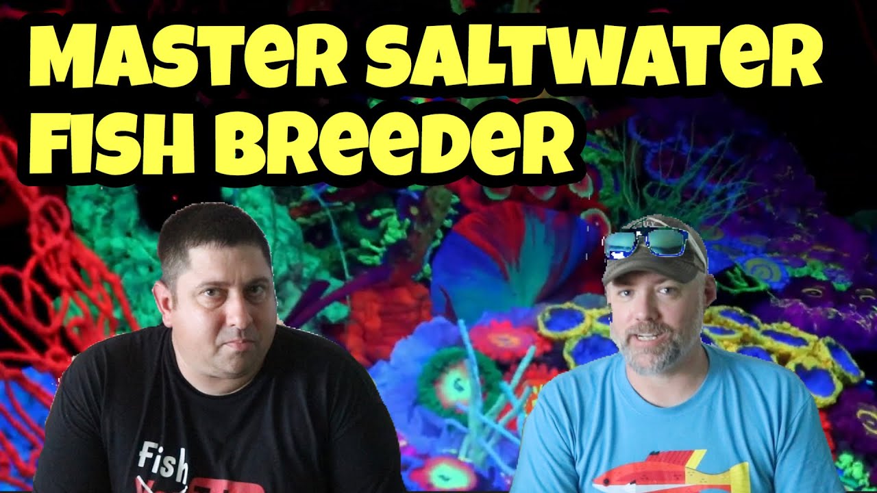 Conversation with a Master Saltwater Fish Breeder