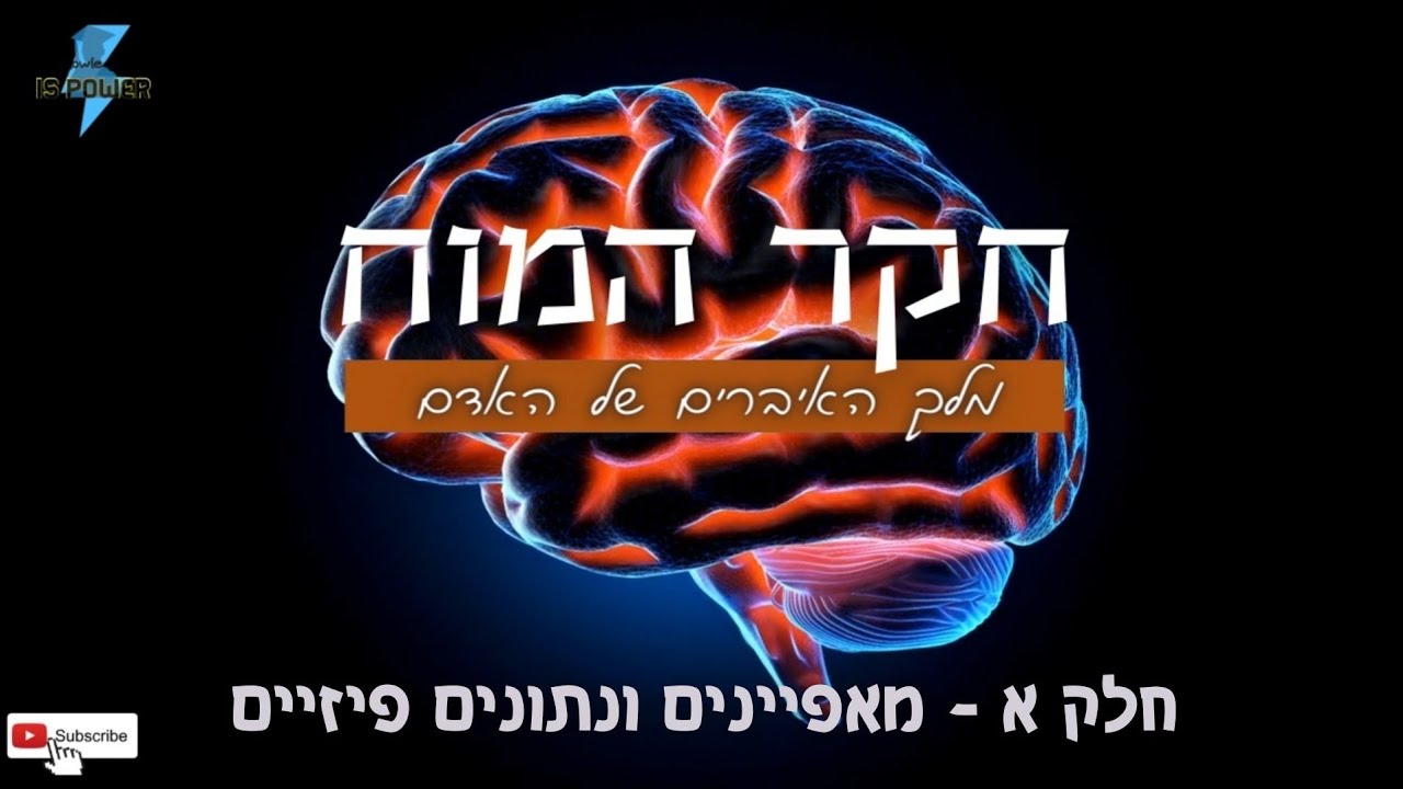 חקר המוח - חלק א | מאפיינים ונתונים פיזיים | ידע הוא כוח