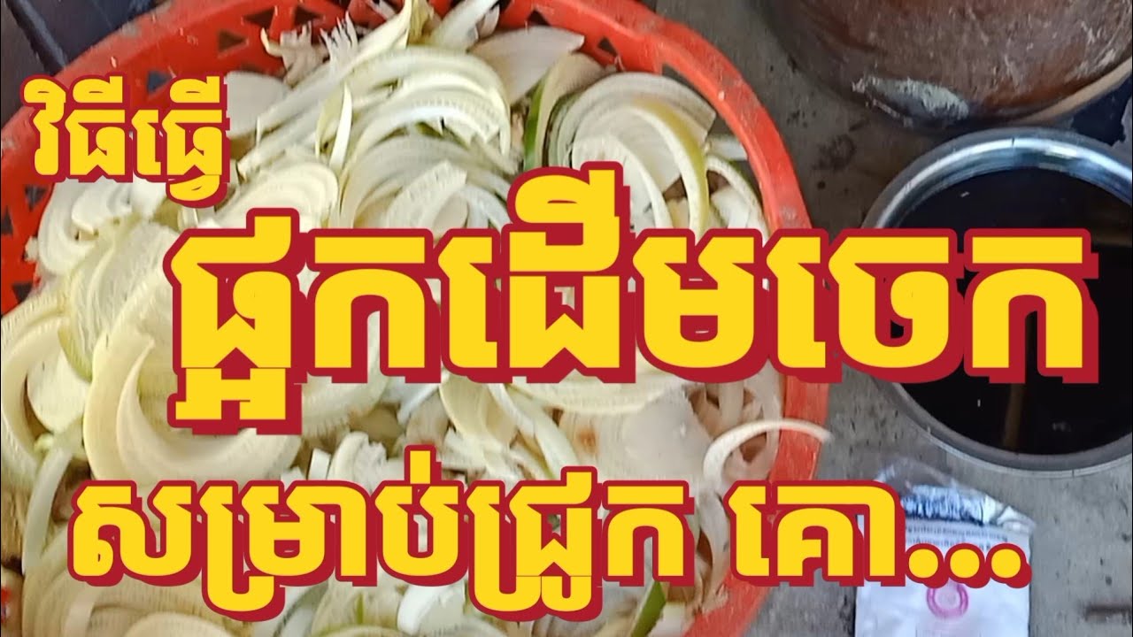 របៀបធ្វេីផ្អកដេីមចេកសម្រាប់ជ្រូក,គោ...