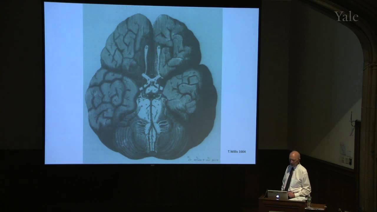 The History of Mind