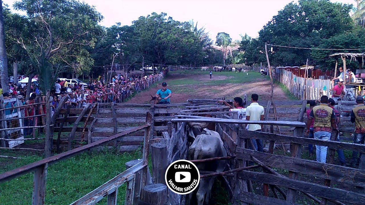TOUR NA PEGA DE BOI NA PISTA BARBALHA CEARÁ 2019 #2