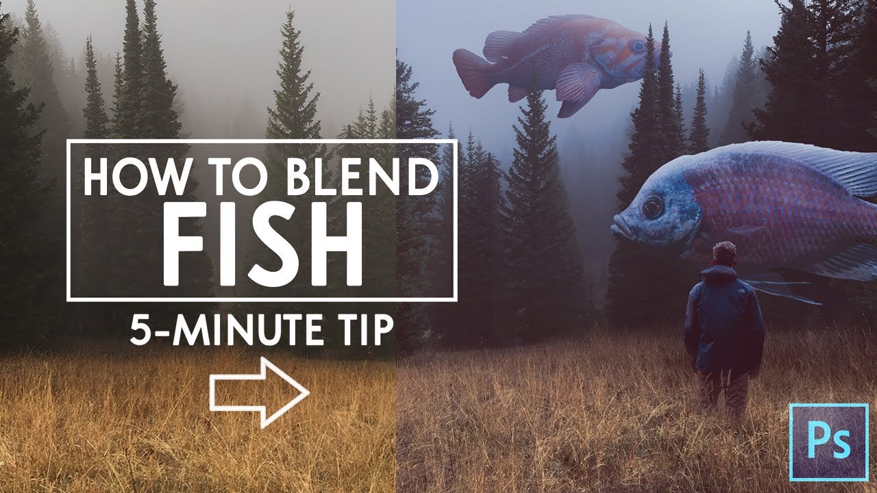 How to Blend FISH in Photoshop