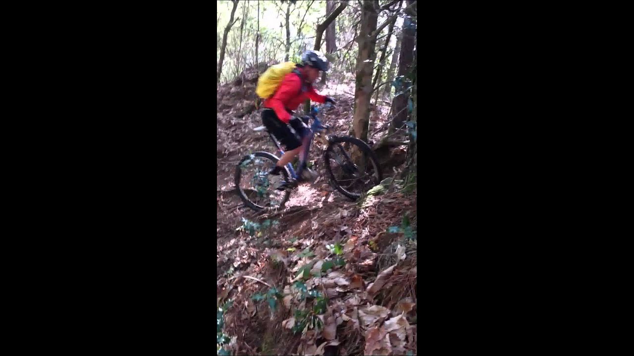 VTT 29