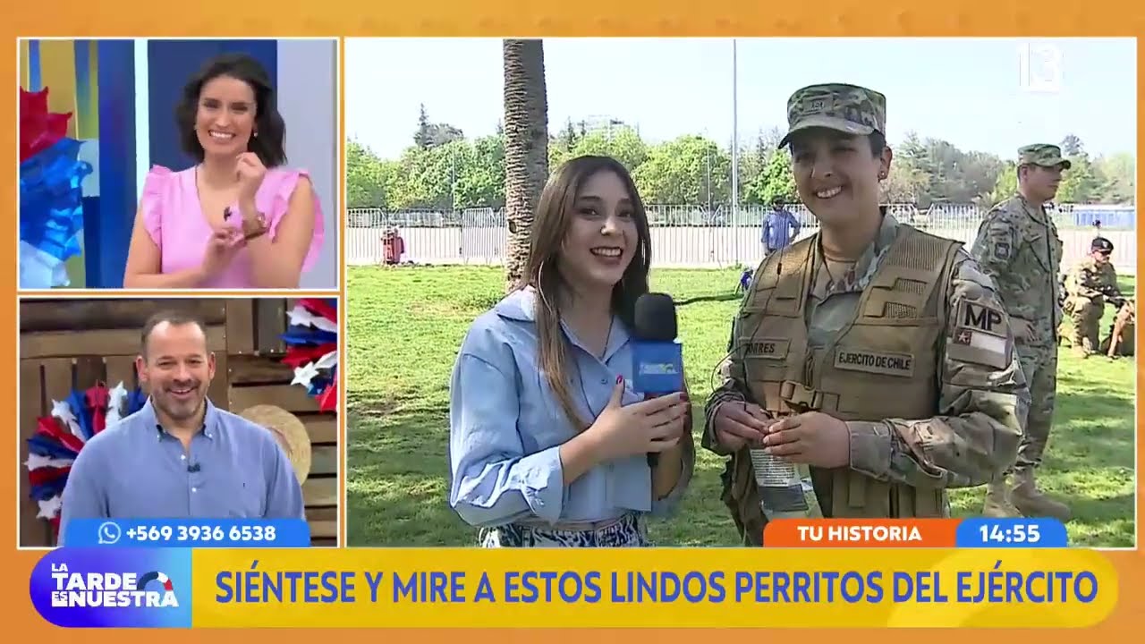 Perritos del ejército listos para la Parada Militar | La Tarde es Nuestra