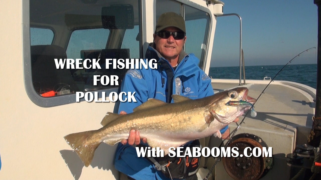 Wreck fishing for Pollock out of Weymouth hosted by Seabooms.com
