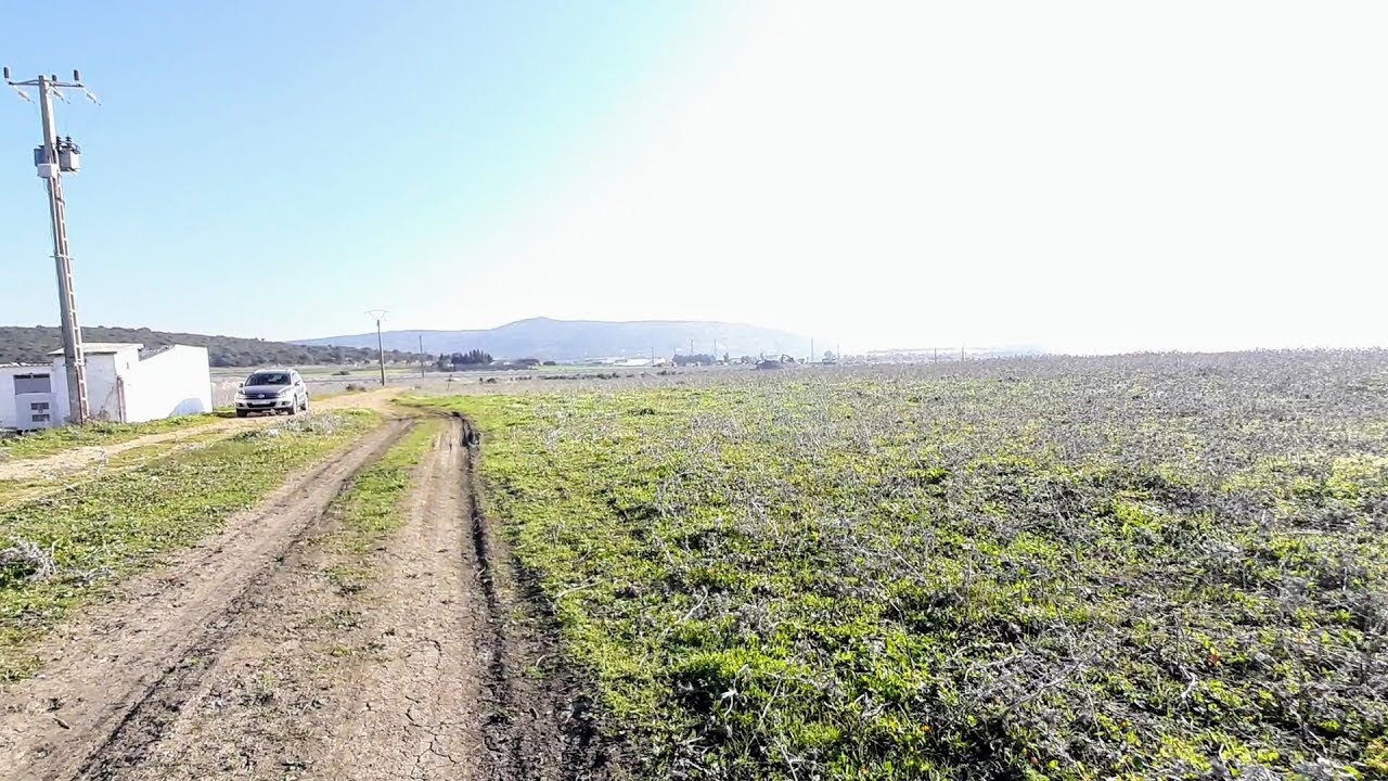 أرض للبيع في طنجة شراقة الثمن 250 درهم للمتر محفضة المساحة هكتار 2000 متر موقع جيد