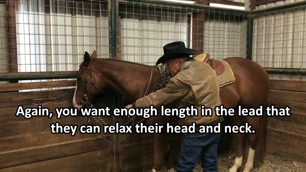 The 3 Best Ways to Tie a Mecate Lead to Your Saddle