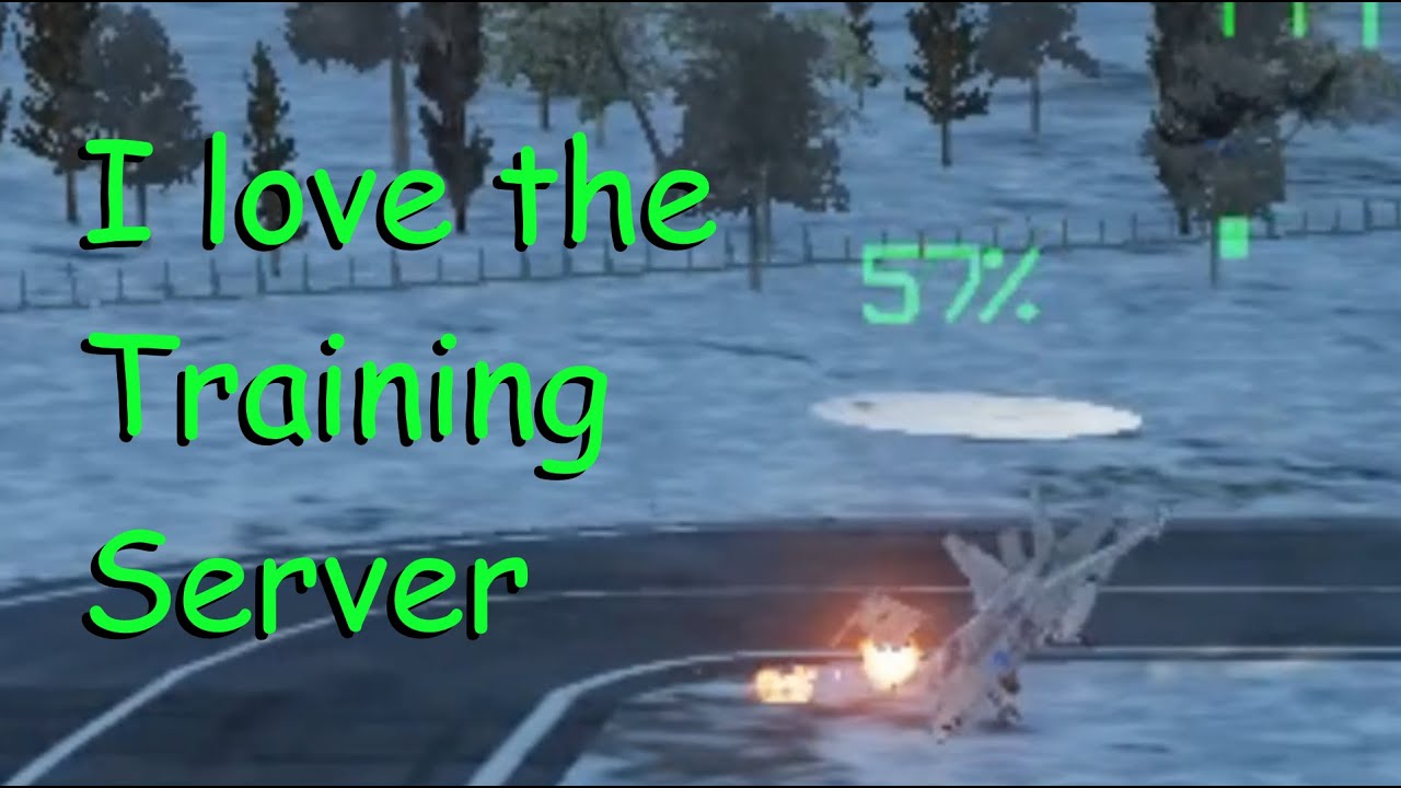 I love the Hoggit Training Server