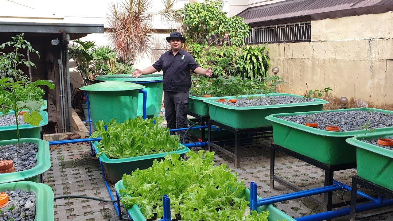 Decoupled Aquaponics by MADE