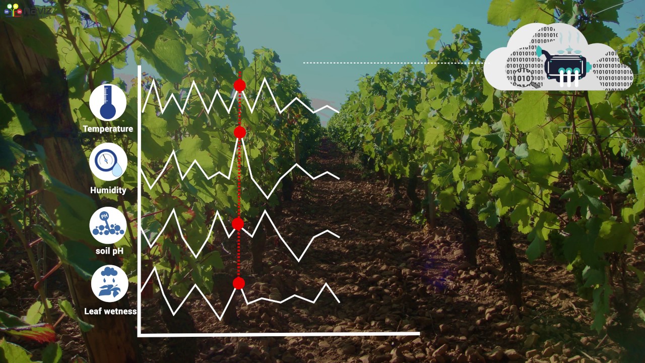 Naviz Analytics IoT Platform - Connected Vineyard