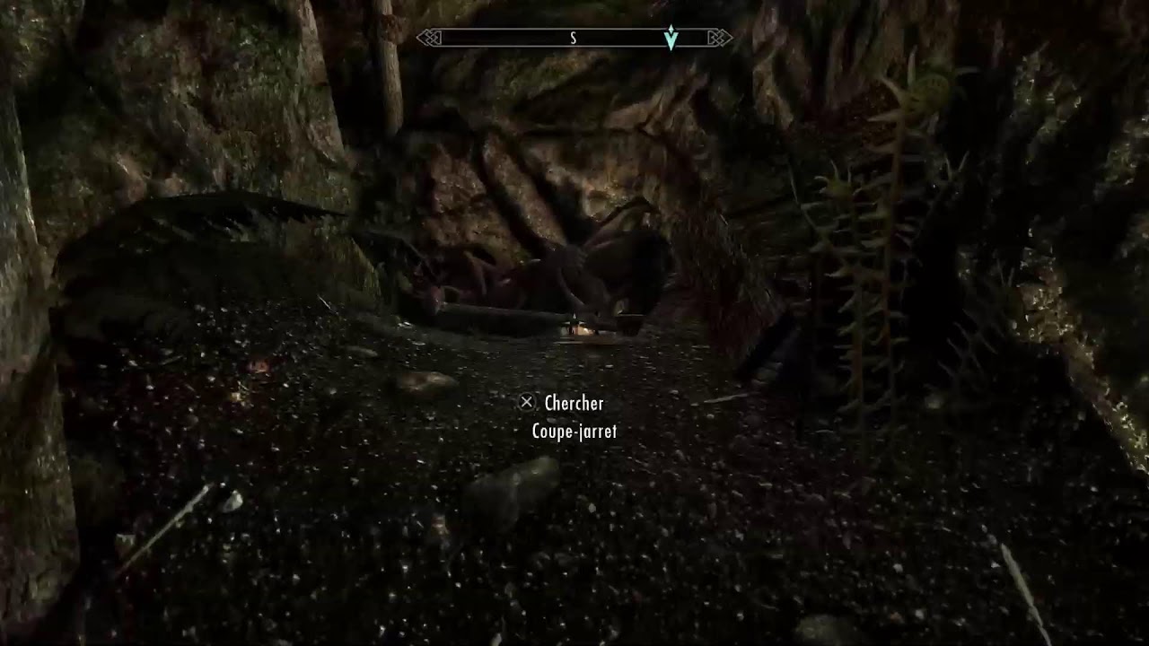 SKYRIM#8
