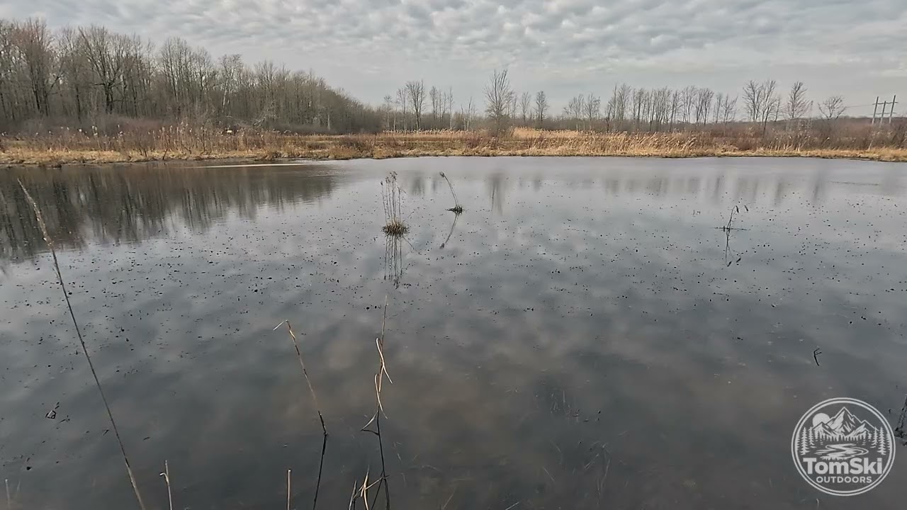 4K Nature Scene - Habitat Pond 1 