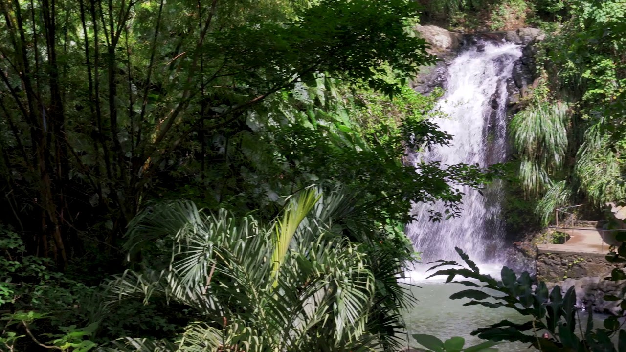 Grand Etang, Annandale Falls and Fort Frederick, St. George's, Grenada